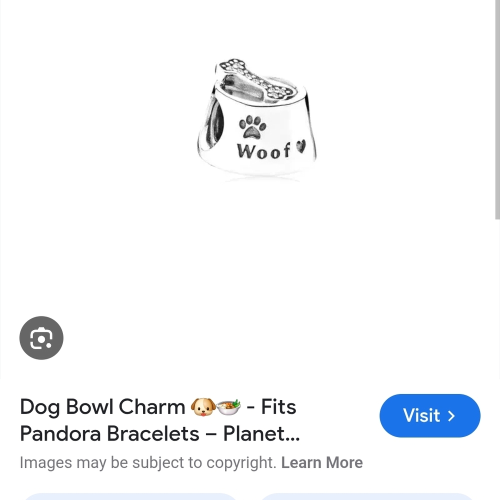 Silver Dog Bowl Charm
